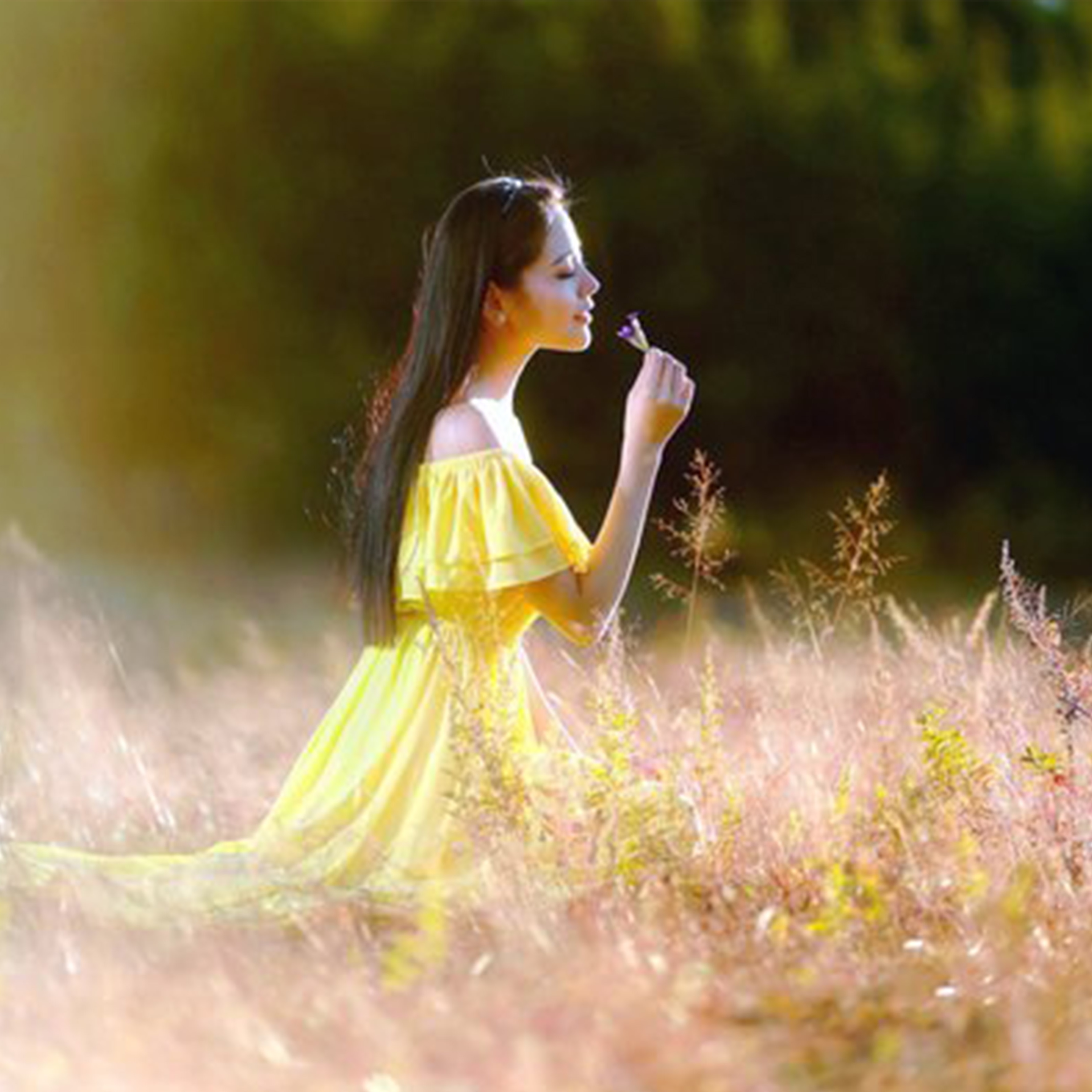 姑娘我怎能忘钢琴谱