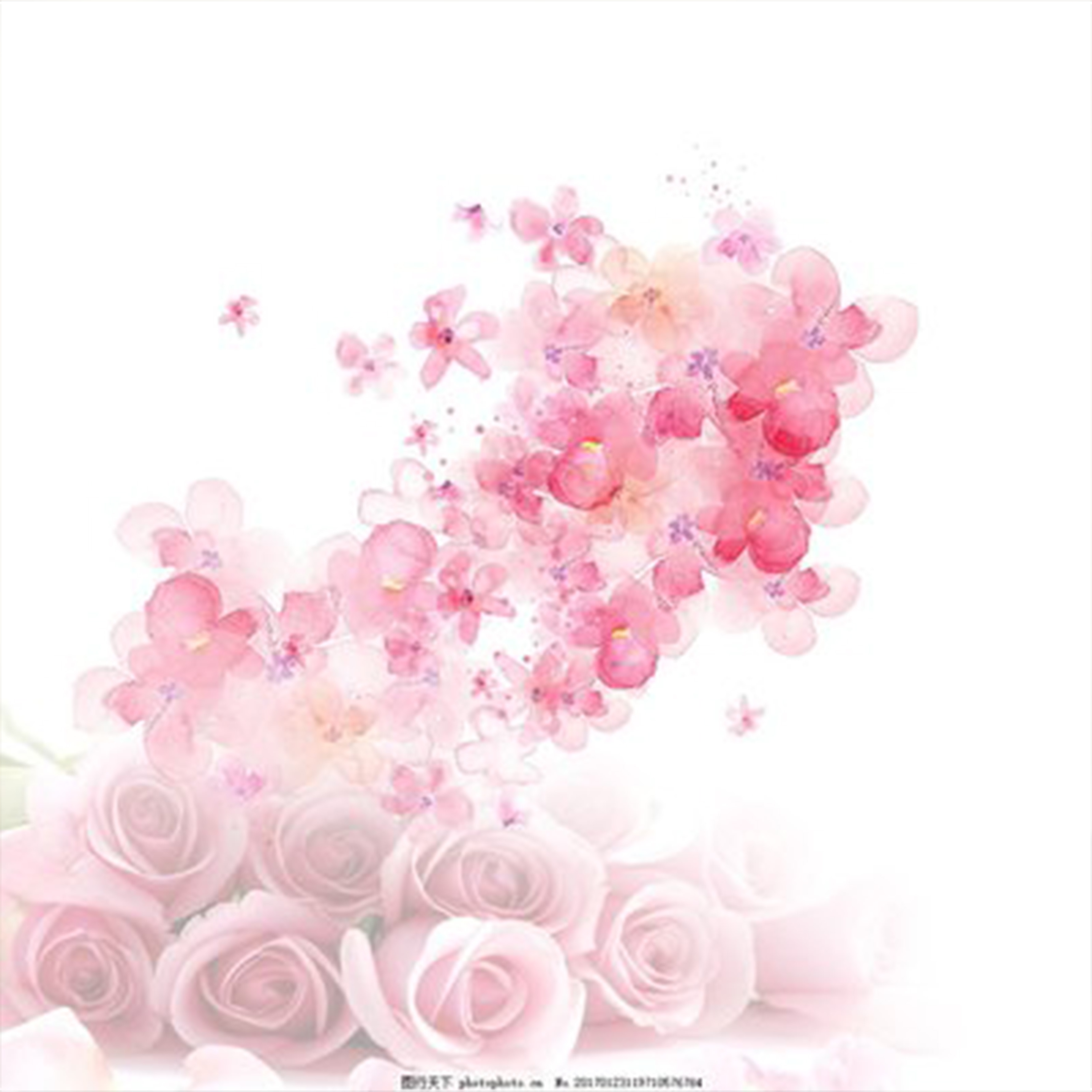 花びらたちのマーチ钢琴谱