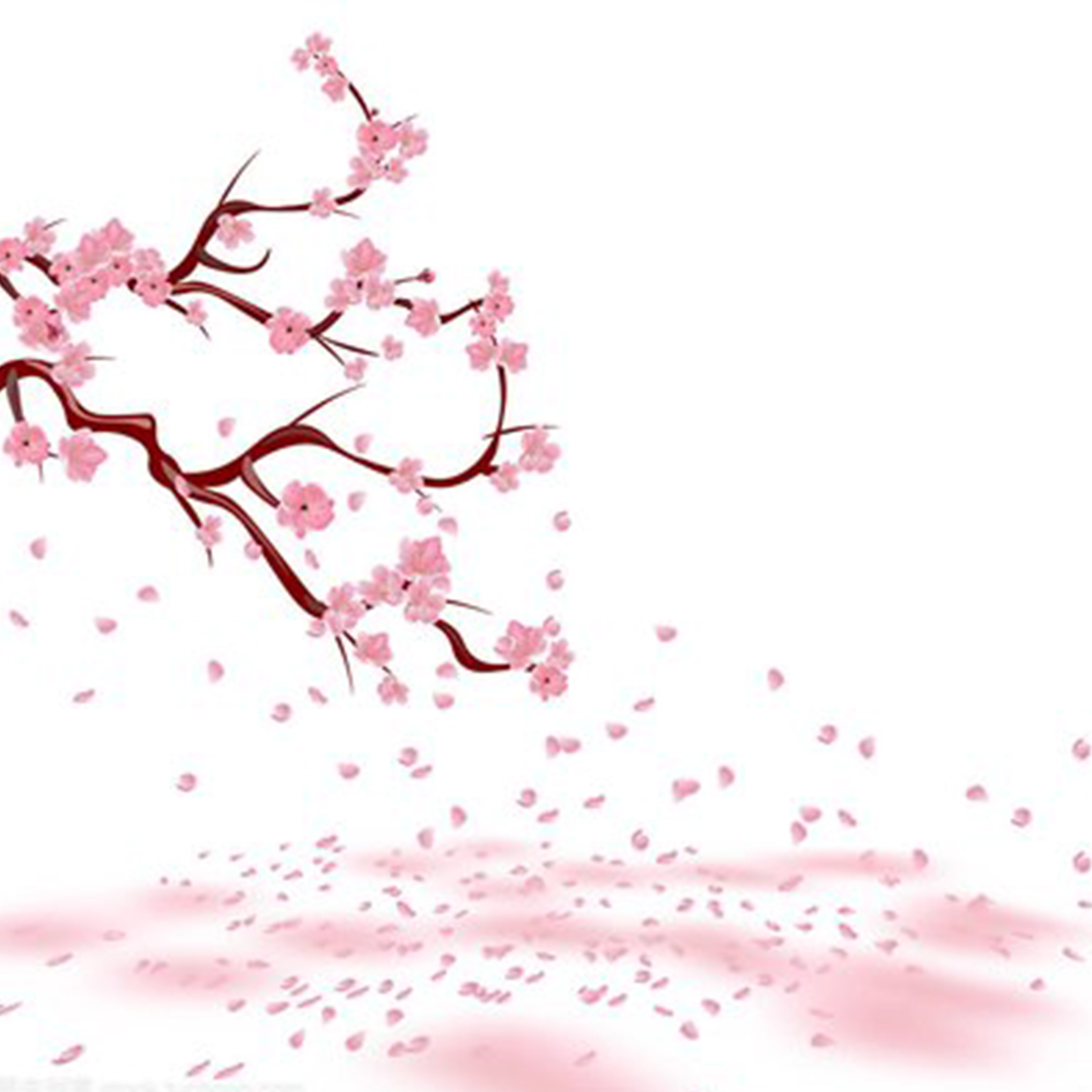 花びらたちのマーチ钢琴谱