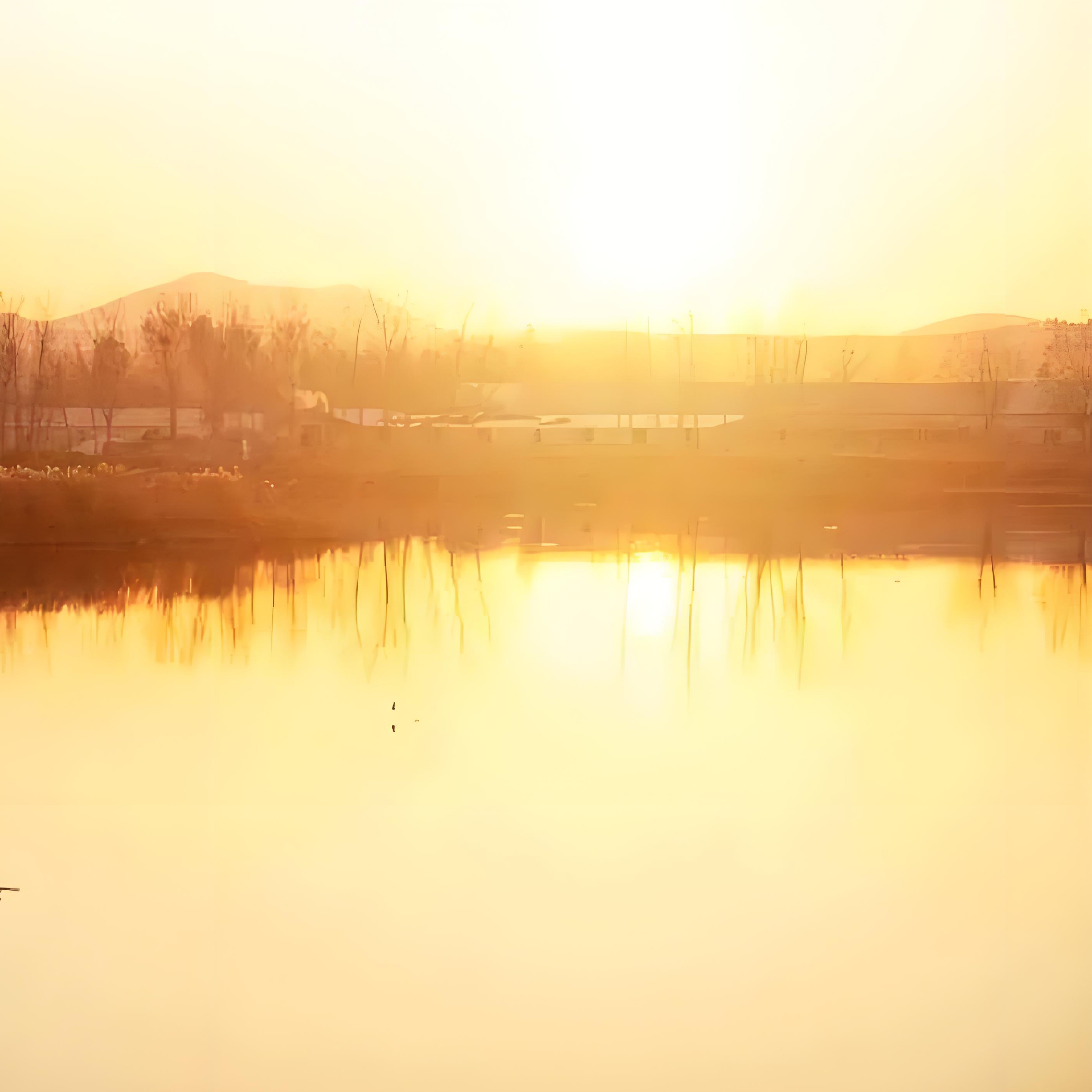 来自家乡的信钢琴谱