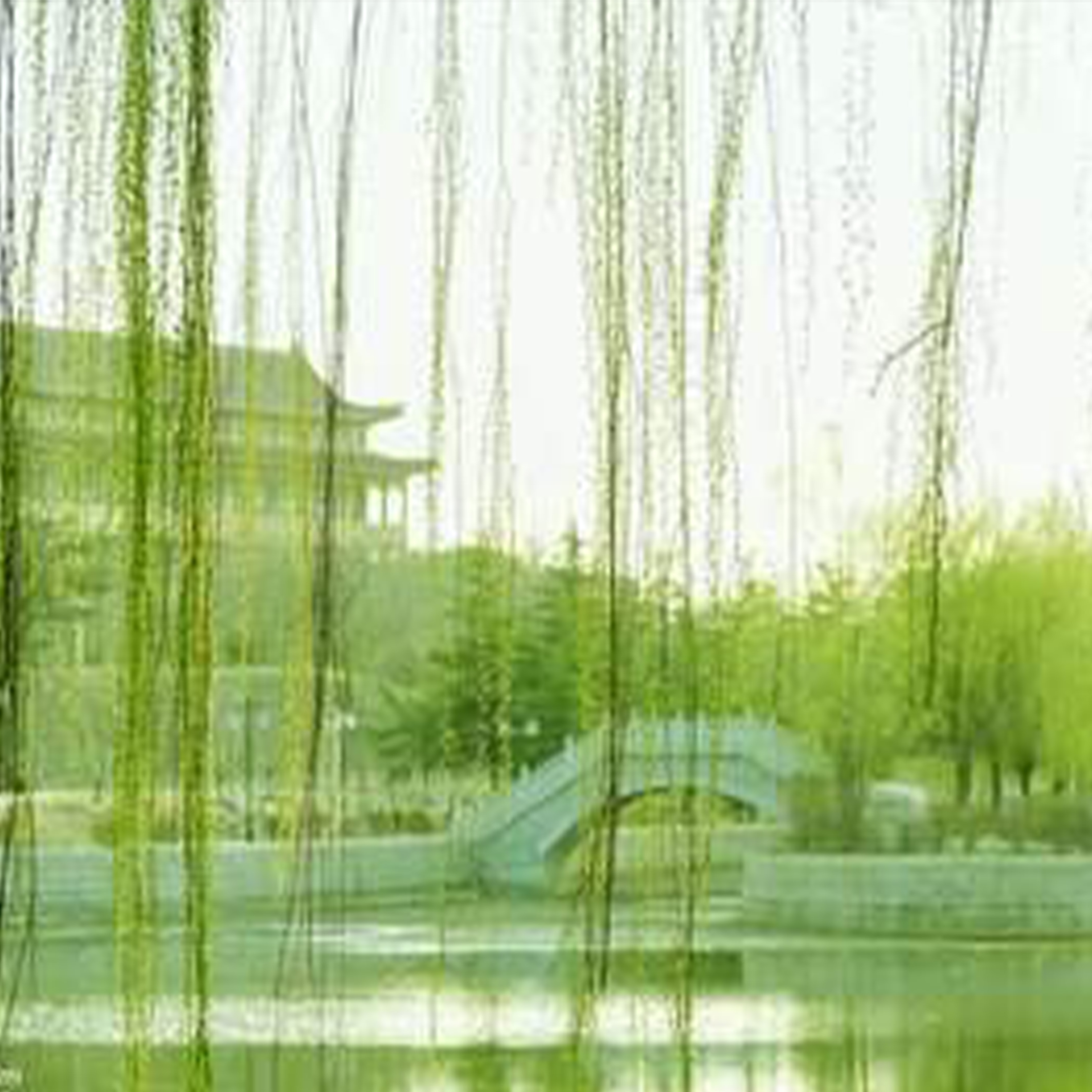 柳梢摇月令钢琴谱