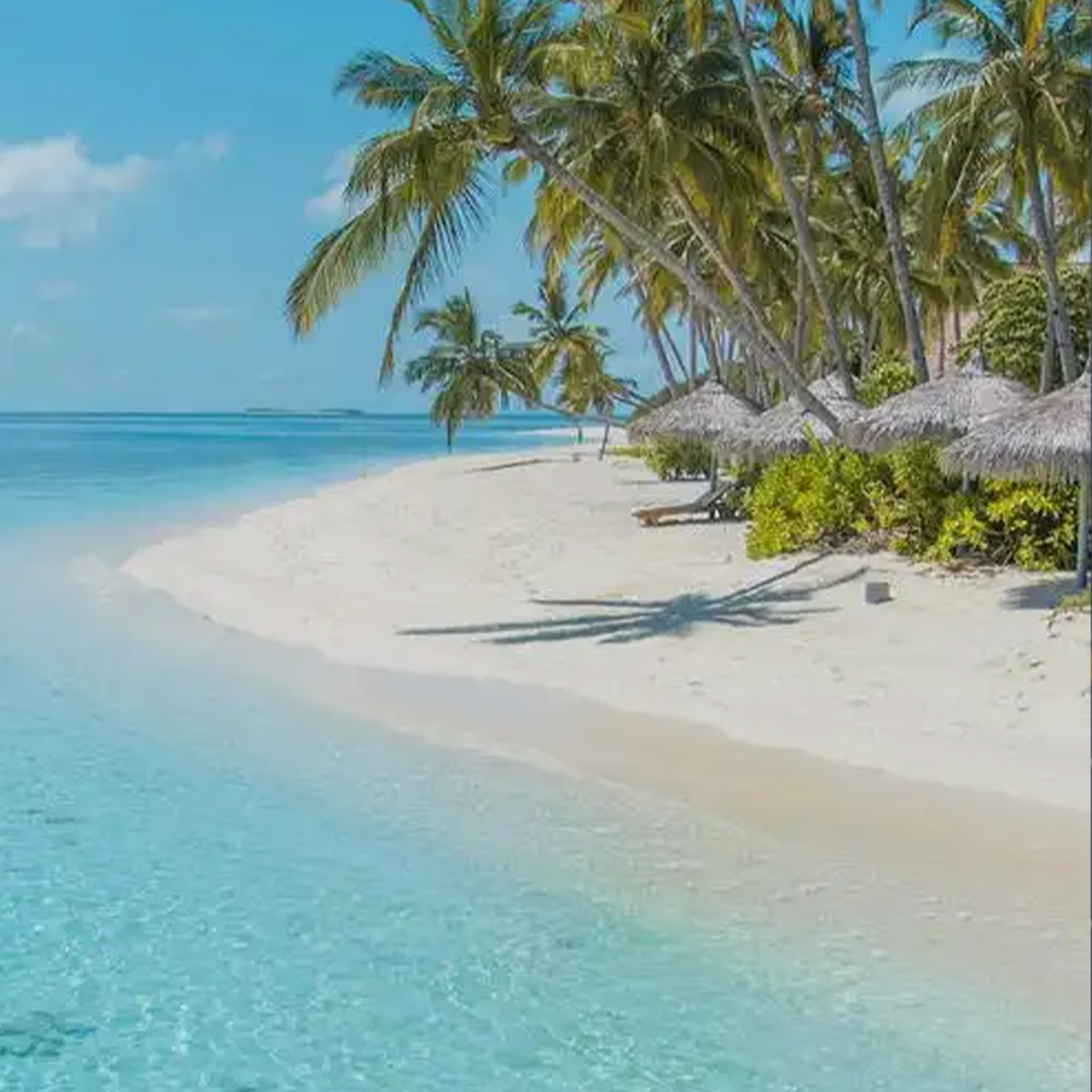 One Summers Day钢琴谱