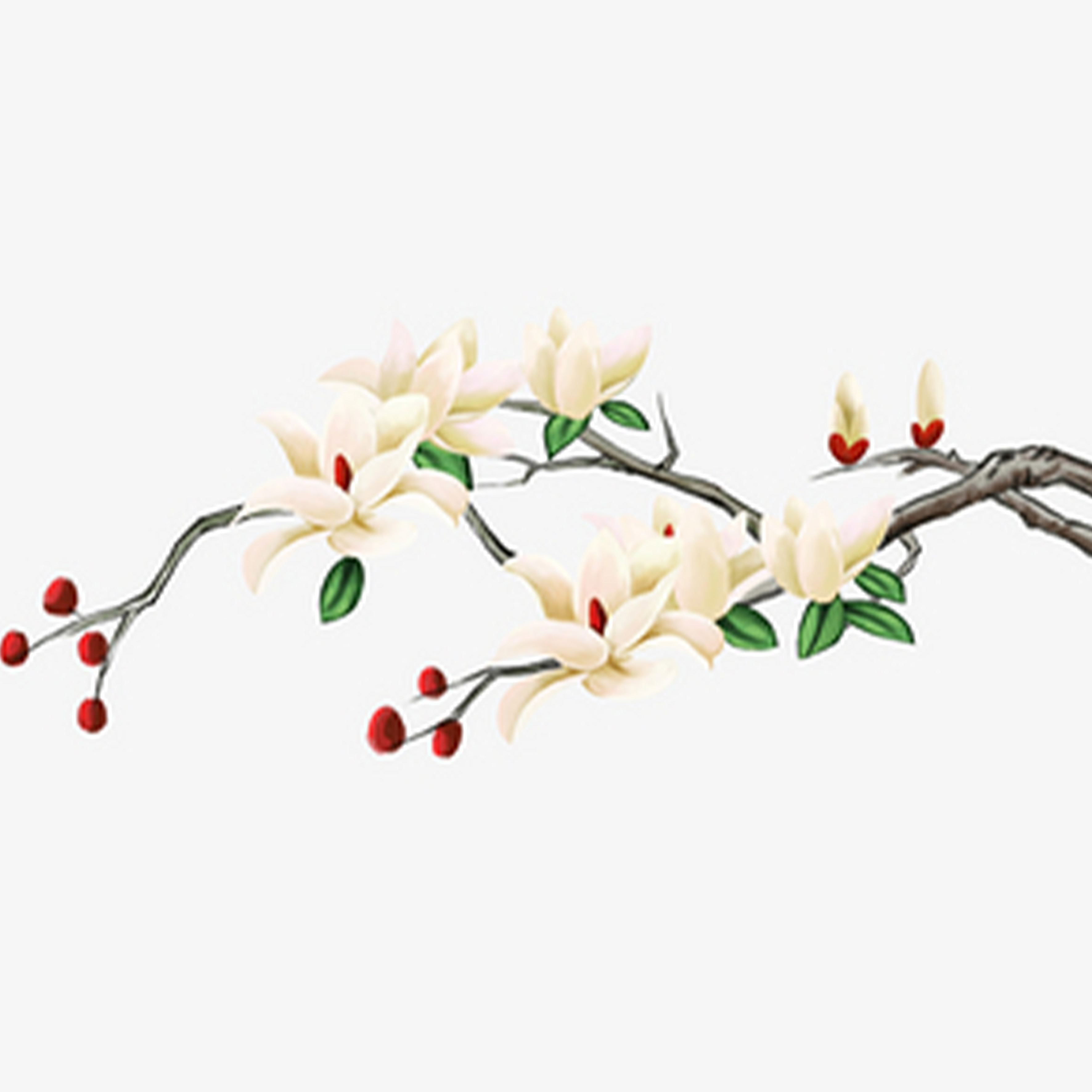 城北的花钢琴谱