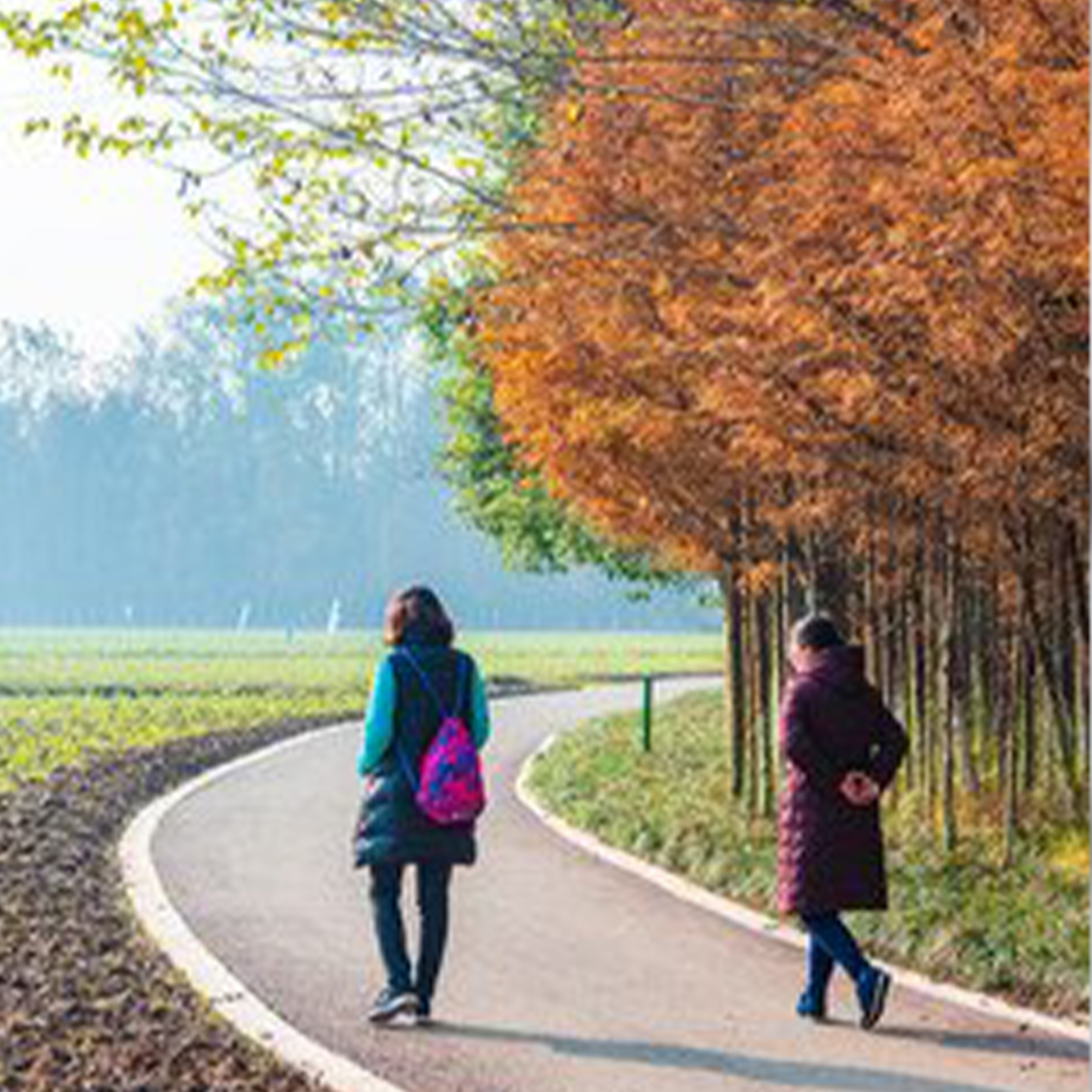 急不来的，就让它慢吧钢琴谱